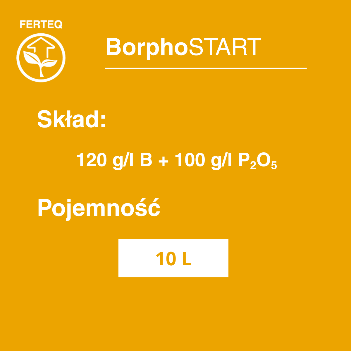 BorphoSTART