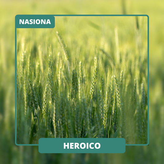 HEROICO