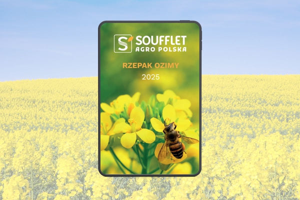 Nowy katalog: Rzepak Ozimy 2025