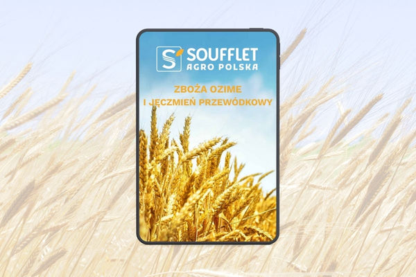 Nowy katalog „Zboża ozime i jęczmień przewódkowy”