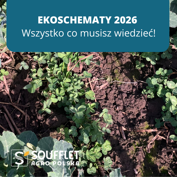 Ekoschematy 2026 - wszystko, co musisz wiedzieć!