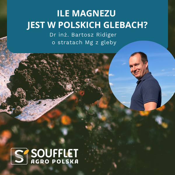 Ile magnezu jest w polskich glebach?
