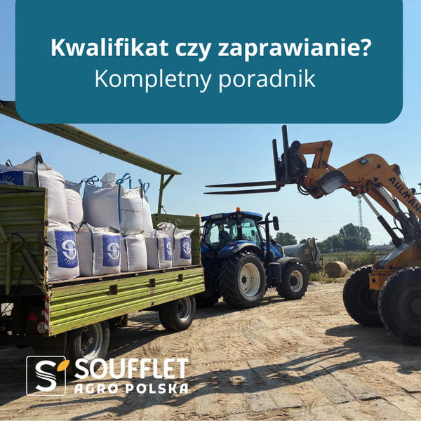 Jak zaprawiać materiał przeznaczony do siewu?