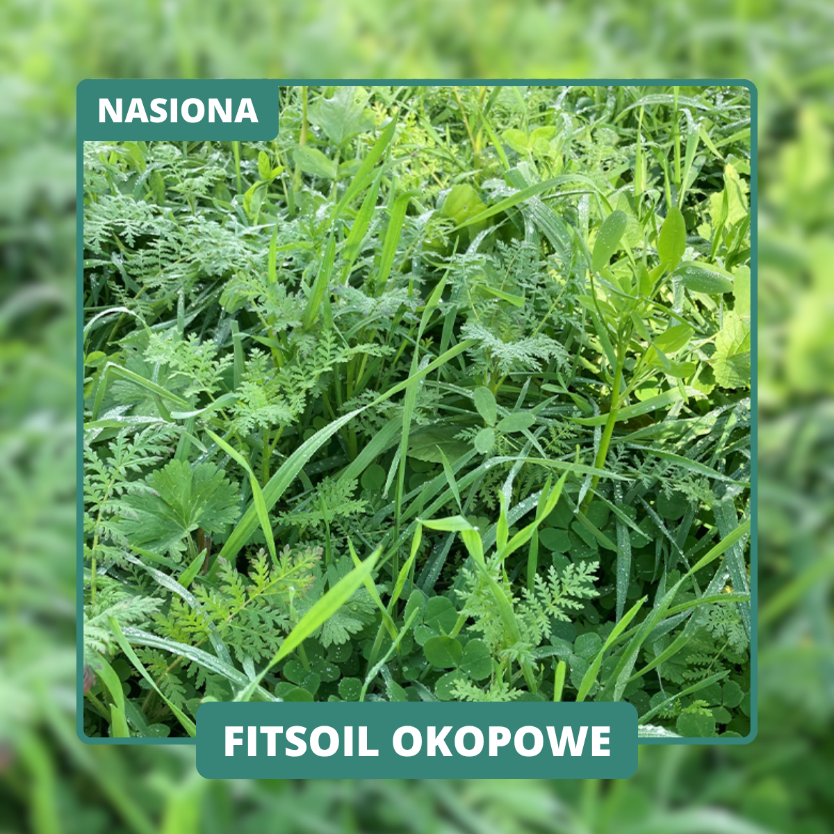 Mieszanka z działaniem strukturotwórczym i odmianami ograniczającymi mątwiki. Działa na różnych głębokościach profilu glebowego.
