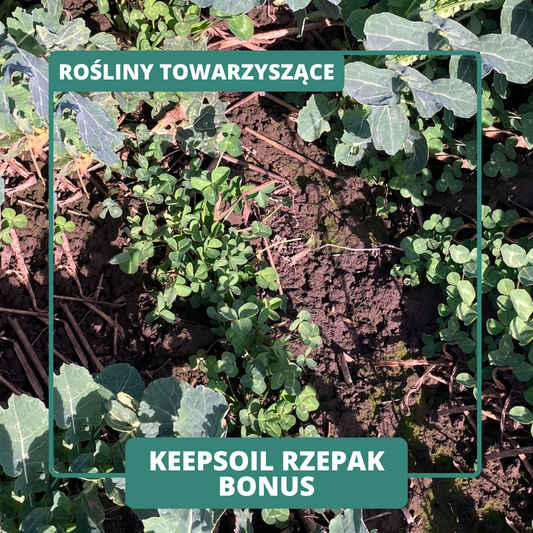 KEEPSOIL RZEPAK BONUS