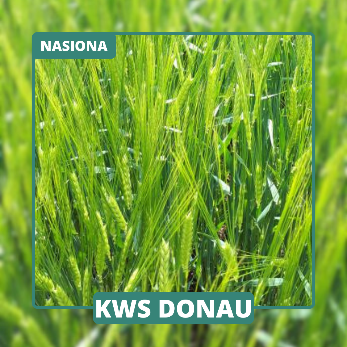 KWS DONAU