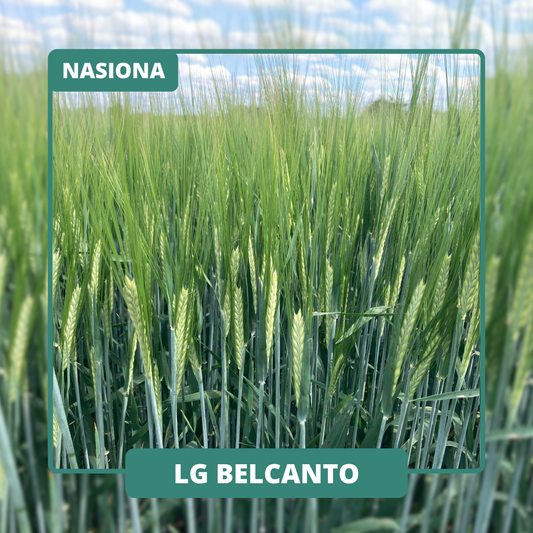 LG BELCANTO