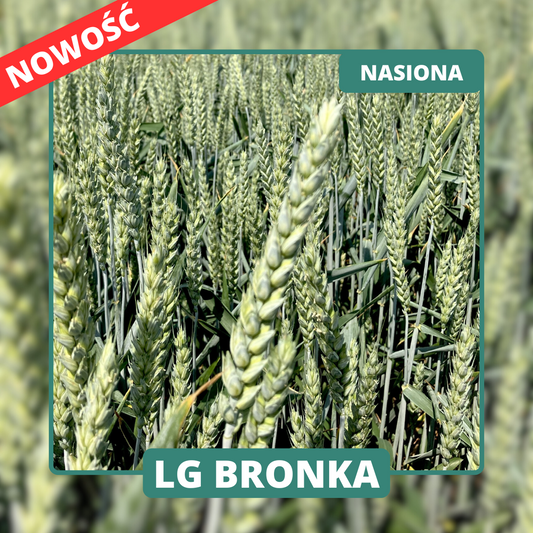LG BRONKA to odmiana średnio-wczesna o wysokiej odporności na choroby i elastycznym terminie siewu. Idealna na gleby o zróżnicowanym pH.