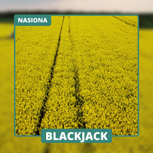 BLACKJACK