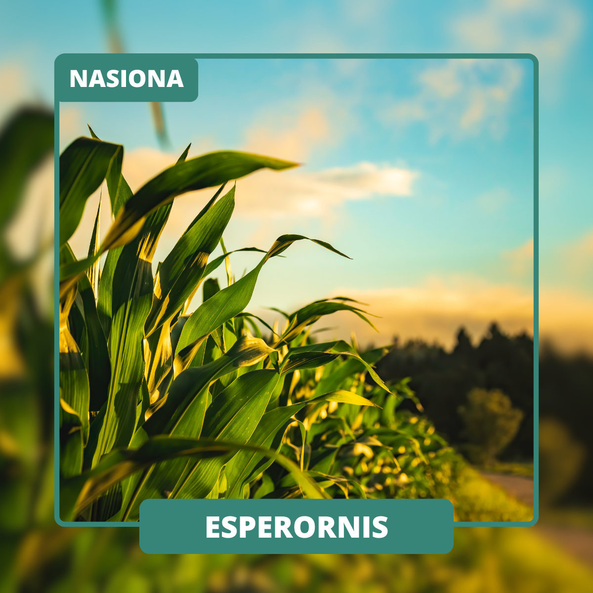 ESPERORNIS