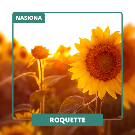 ROQUETTE